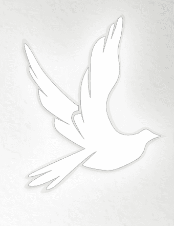 Jean M Neidig Obituary